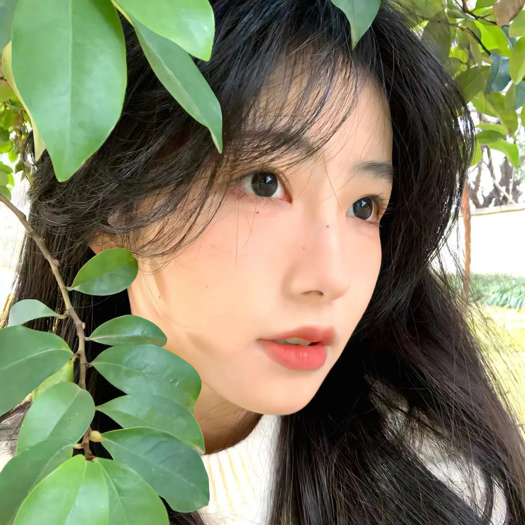 这十年·追光者